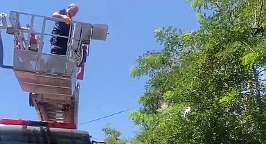 Ayağına dolanan ip kargayı mahsur bıraktı, itfaiye kurtardı