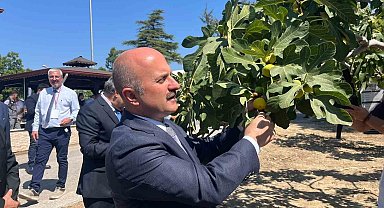 Aydın'a 100 milyonluk yatırım