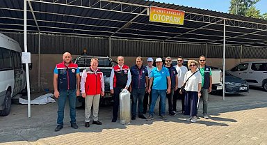 Aydın'da 535 bin sazan suyla buluştu