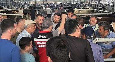 Aydın'da hayvan pazarlarında sıkı denetim