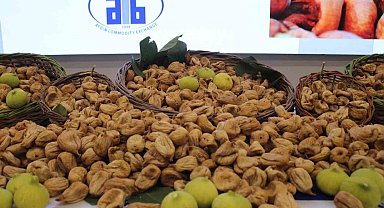Aydın'da sezonun ilk kuru inciri 850 liradan satıldı
