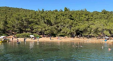 Ayvalık'ta ormanlara giriş yasak ama denetim yetersiz