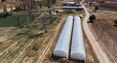 Baba-kız bin 500 rakımda sera kurup domates yetiştirmeye başladılar