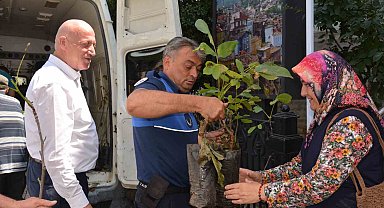 Babadağ Belediyesinden çiftçilere ceviz fidanı desteği