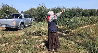 Babaeski'de tarlalar mercek altında