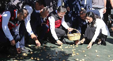Bakan Yumaklı Aydın'da incir hasadına katıldı