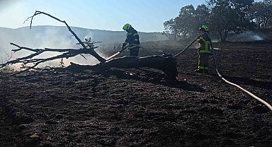 Balıkesir İtfaiyesi temmuz ayında bin 521 olaya müdahale etti
