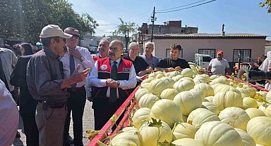 Balıkesir'de ata tohumuyla yetiştirilen beyaz kavunun hasadı başladı