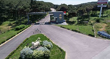 Bandırma Koyunculuk Araştırma Enstitüsü'nün TÜBİTAK projesine destek