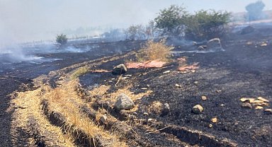 Bandırma'da anız ve otluk alanda yangın