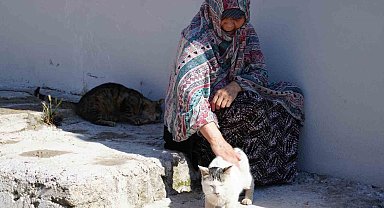 Bayburt'ta senelerdir sahipsiz hayvanları besleyen kadın, 10 yıldır baktığı sokak kedisini kaybetti: "İki gün ağladım"