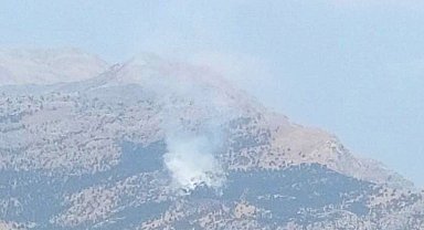 Baykan'da Kalems Dağı'nda yangın