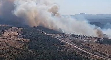 Bayramiç'te orman yangını helikopterden görüntülendi