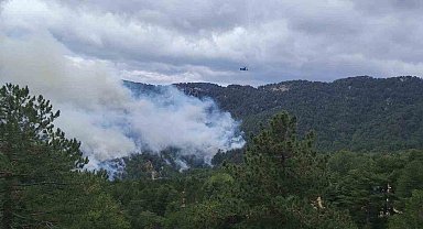Beşkonak'ta orman yangını: Havadan ve karadan müdahale ediliyor