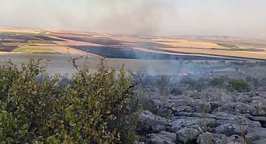 Besni'de ormanlık alanda çıkan yangın korkuttu