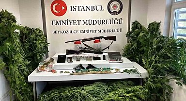 Beykoz'da uyuşturucu operasyonu: 117 kök hint keneviri ve çok sayıda silah ele geçirildi