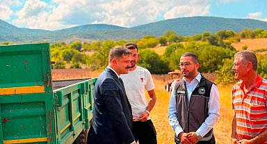 Bilecik'te ayçiçeği ekimi 3 yılda 11 bin 700 dekar arttı