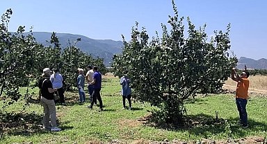 Bilecik'te bitki hastalıkları ve zararlılara karşı saha kontrolü