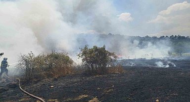 Bilecik'te çıkan yangında 30 dönümlük hasadı yapılmış buğday tarlası kül oldu