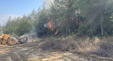 Bilecik'te orman yangını kısmen kontrol altına alındı