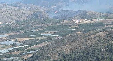 Bilecik'te orman yangını kontrol altına alındı