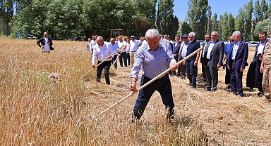 Binali Yıldırım Harman Şenliği'nde tırpan salladı