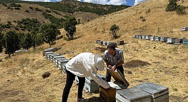 Bingöl'de arıcılara destekleme ve hastalık denetimi
