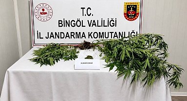 Bingöl'de kesinleşmiş hapis cezası bulunan 6 zanlı yakalandı
