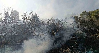 Bingöl'de orman ve mera yangınları söndürüldü