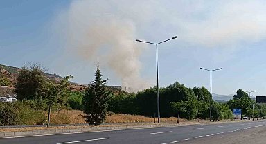 Bingöl'de otluk alanda çıkan yangın büyümeden söndürüldü