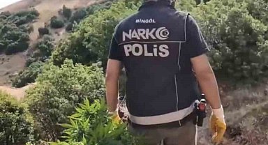 Bingöl'de uyuşturucu operasyonu: 3 şüpheli tutuklandı