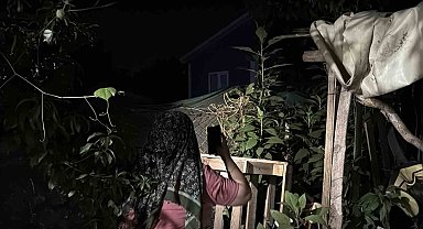Bir tıkırtı yetiyor, herkes sokağa fırlıyor: Gece saatlerinde fenerlerle iz sürüyorlar