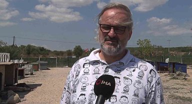 Birkaç köpekle başladı, bin 200 cana yuva oldu