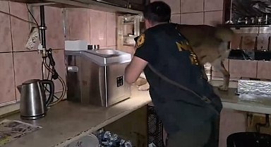 Bitlis'te uyuşturucu operasyonunda 11 tutuklama