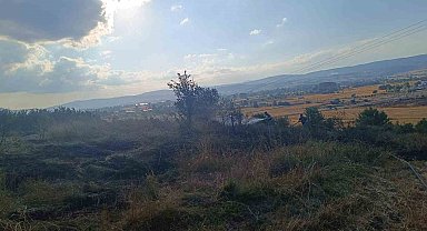 Bolu'da anız yangını ağaçlık alana sıçramadan söndürüldü