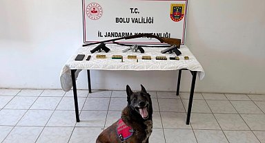 Bolu'da evinde silah ve mühimmat bulunan şüpheli tutuklandı