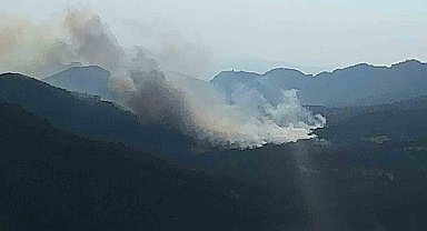 Bolu'da kritik orman yangını uyarısı