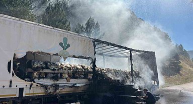 Bolu'da şeker yüklü tır alev aldı, yangın ormana sıçradı