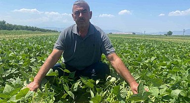 Bu köyde çiftçi sadece tarlasını hazırlıyor, gerisini kooperatif yapıyor