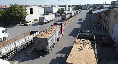 Buğday pazarında güvercinler de nasibini alıyor