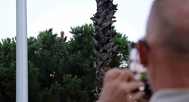 Bunalıma girip çam ağacına tırmandı, sıcaktan da bunalınca suyla ikna edildi
