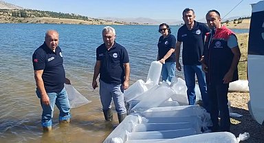 Burdur'da göl ve göletler yavru sazanlarla buluştu