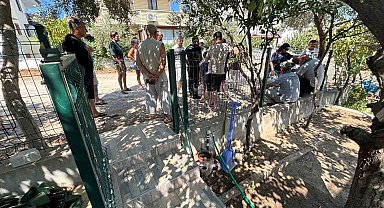 Burhaniye'de ağaç kesilmesine isyan