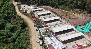Bursa Hayvan Hakları Platformu'ndan Gemlik Belediyesi'ne tepki: "Kapıları açın"