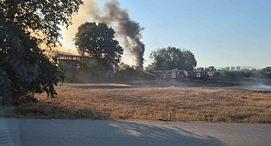 Bursa'da depo ve tarlalık alanda yangın