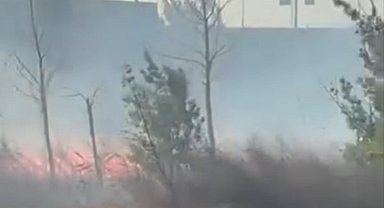 Bursa'da fabrikanın yanındaki arazide korkutan yangın