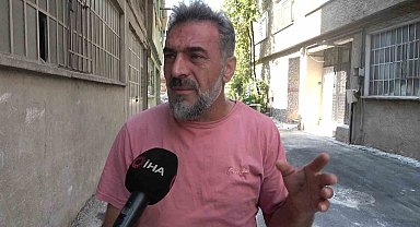 Bursa'da hayvanlara şiddet iddiası: Apartmandan dehşet çıktı, mahalleyi pireler bastı