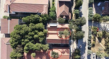 Bursa'da örnek okul projesi: 50 yıllık ağaçlar binanın içinde kaldı