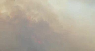 Bursa'da tarım alanlarındaki yangına itfaiye ve ormandan seri müdahale