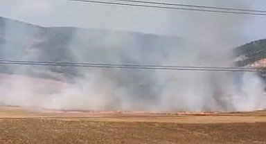 Bursa'da tarlalık alanı ateşe veren şüpheli yakalandı